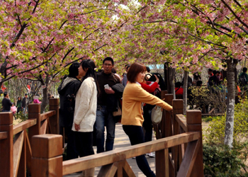 丝瓜污视频在线观看保潔團隊顧村公（gōng）園遊玩